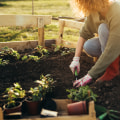 The Fascination with Grow a Garden: A Gardening Expert's Perspective