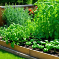 Maximizing Growth in Grow a Garden: The Power of the Grow All Button