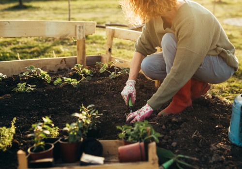 The Fascination with Grow a Garden: A Gardening Expert's Perspective